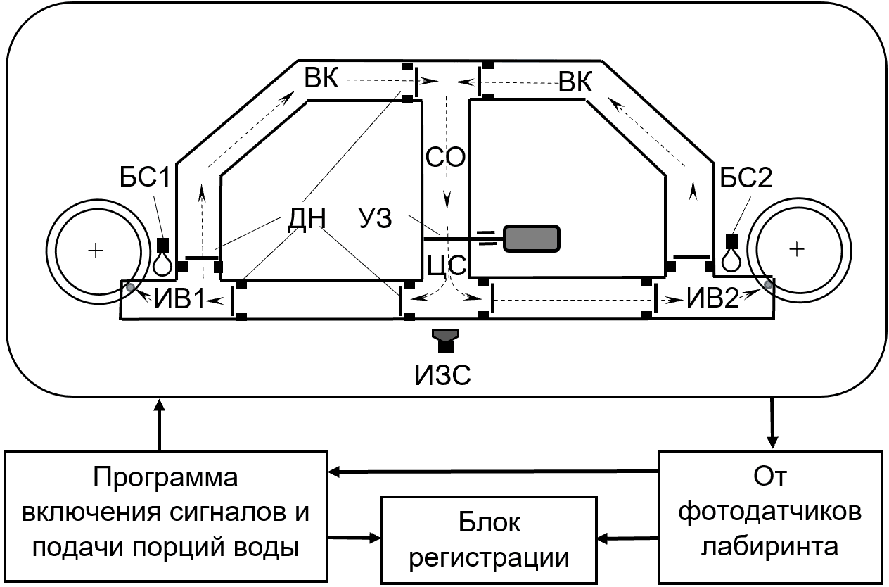 ЭМОЦИОНАЛЬНАЯ ПАМЯТЬ ПРИ ФОРМИРОВАНИИ ЦЕЛЕНАПРАВЛЕННОГО ПОВЕДЕНИЯ ЖИВОТНЫХ ДО И ПОСЛЕ НАСЫЩЕНИЯ